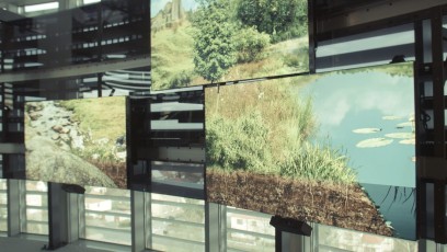 Interaktivní instalace Okna biodiverzity